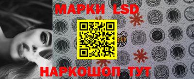 крисы Аргун