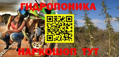 крисы Апшеронск