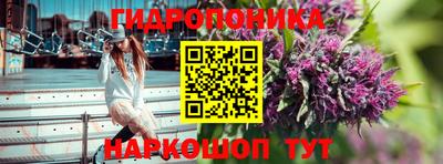 крисы Апшеронск