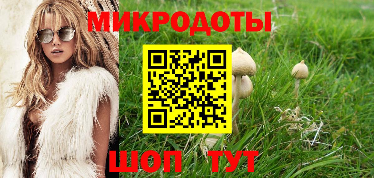 Вязьма  Галлюциногенные грибы мицелий  Вход с VPN 